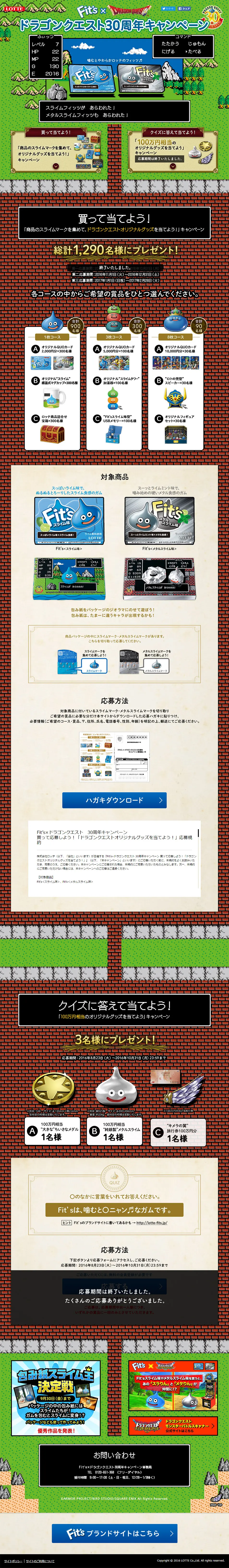 Dragon Quest 30th Anniversary Campaign LP design (Services, Insurance, and Finance / Green tones / Arts) PC version