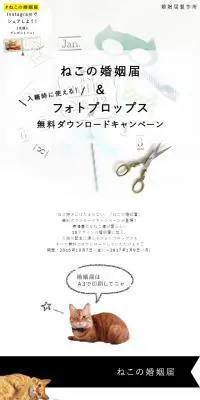 ねこの婚姻届のLPデザイン（サービス・保険・金融／ホワイト系／かわいい系）スマホ版