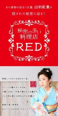 秘密の多い料理店REDのLPデザイン（家電・パソコン・通信機器／グレー系／信頼・安心系）スマホ版