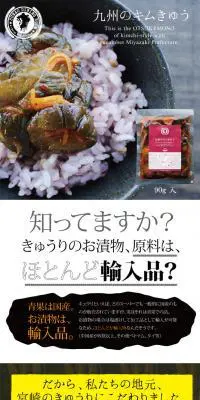 九州のキムきゅうのLPデザイン（食品／ブラウン系／健康・癒し系）PC版