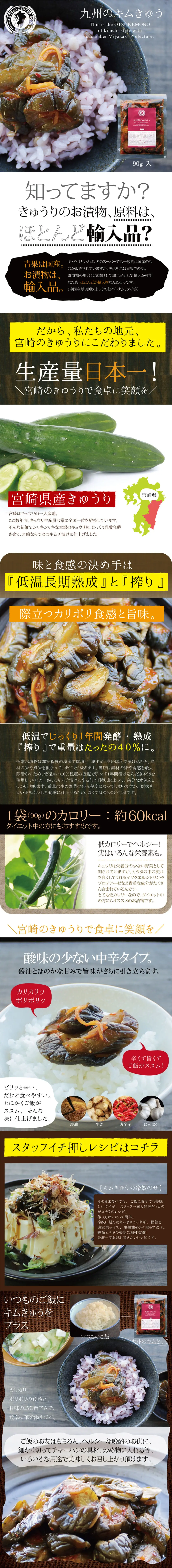 Kyushu Kimchi LP design (food / Brown tones / Health and Wellness) PC version