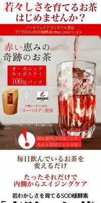 有機ルイボスティのLPデザイン（飲料・お酒／レッド系／オーガニック系）PC版