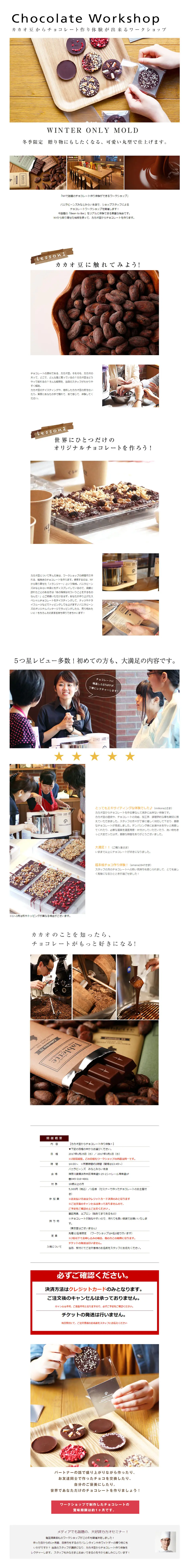 Chocolate Workshop LP design (Services, Insurance, and Finance / White-based / Simple) PC version