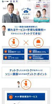 ソニー損保DEナットク！のLPデザイン（サービス・保険・金融／ブルー系／シンプル系）PC版