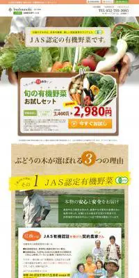 旬の有機野菜お試しセットのLPデザイン（食品／グリーン系／ナチュラル系）PC版