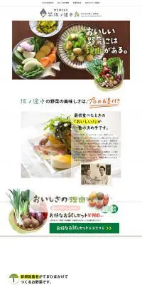 お得なお試しセットのLPデザイン（食品／グリーン系／シンプル系）PC版