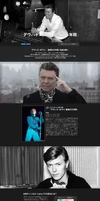 デヴィッド・ボウイ最後の5年間のLPデザイン（TV・映画・アニメ／グレー系／シンプル系）PC版