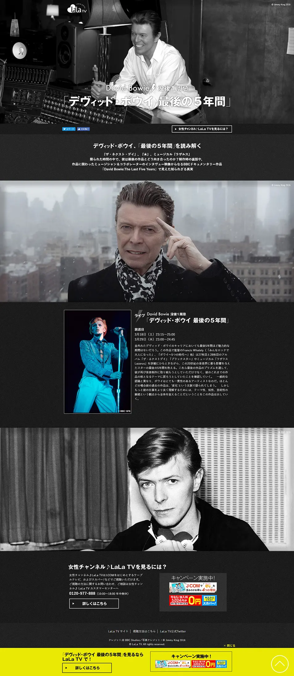 David Bowie's last five years LP design (TV, Movies, Anime / Shades of grey / Simple) PC version