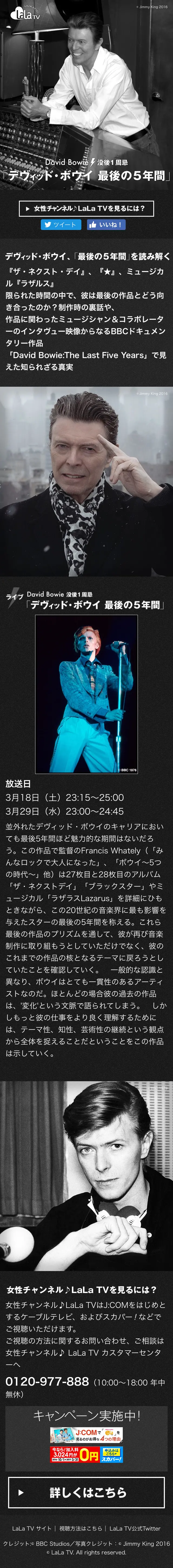 David Bowie's last five years LP design (TV, Movies, Anime / Shades of grey / Simple) Mobile version