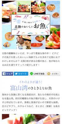 Authentic Hokuriku Seafood Delights: Delicious Local Fish