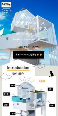 Dream Designer House