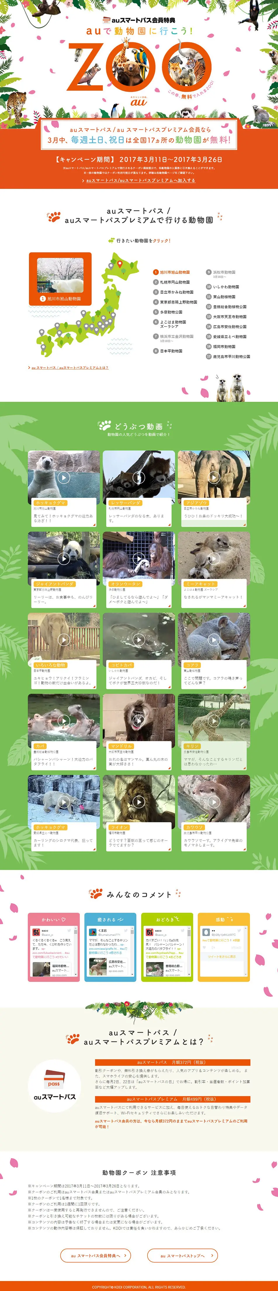 Let's go to the zoo with au! LP design (Internet service / Multi-color type / Lively type) PC version