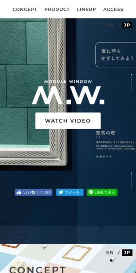 MODULE WINDOW