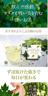グリーン パパイヤ リーフティーのLPデザイン（飲料・お酒／グリーン系／キレイ系）PC版