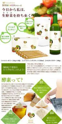 酵素MAKERシリーズのLPデザイン（健康・美容食品・サプリ／グリーン系／健康・癒し系）PC版