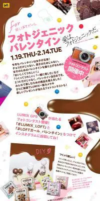 フォトジェニックバレンタインのLPデザイン（インターネットサービス／ホワイト系／かわいい系）PC版