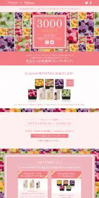 テラクオーレ　3000 Roses 母の日に届け！3000本のローズキャンペーンのLPデザイン（インターネットサービス／ピンク系／かわいい系）PC版