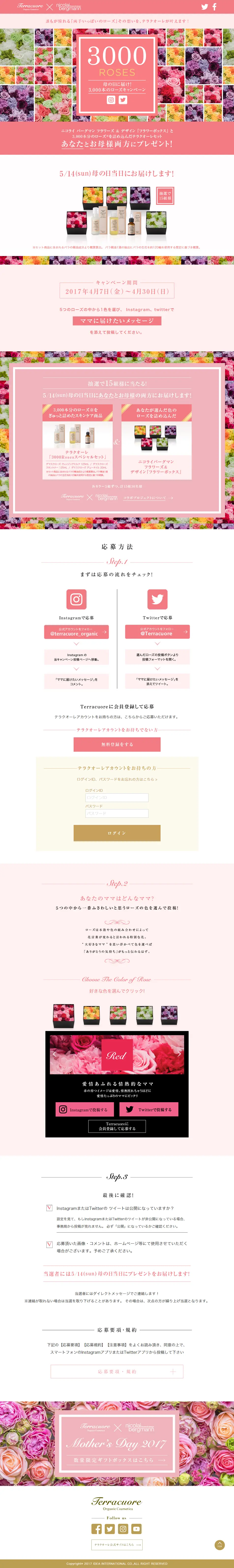 Terracuore 3000 Roses: Get It for Mother's Day! The 3000-Rose Campaign. LP design (Internet service / Pink shades / Cute style) PC version