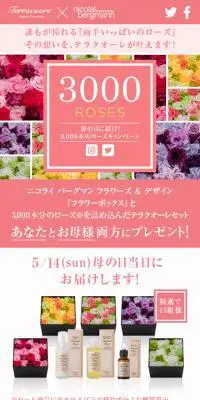 テラクオーレ　3000 Roses 母の日に届け！3000本のローズキャンペーンのLPデザイン（インターネットサービス／ピンク系／かわいい系）スマホ版