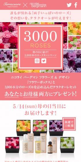 テラクオーレ　3000 Roses 母の日に届け！3000本のローズキャンペーンのLPデザイン（インターネットサービス／ピンク系／かわいい系）スマホ版