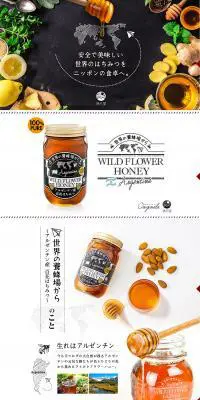 アルゼンチン産 百花はちみつのLPデザイン（食品／ブラック系／オーガニック系）PC版