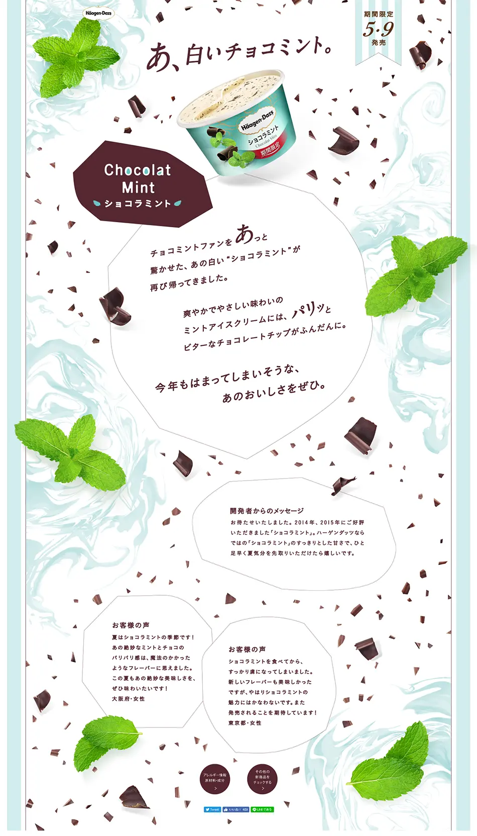 Chocolate Mint LP design (Sweets and Snacks / Shades of blue / Refreshing type) PC version