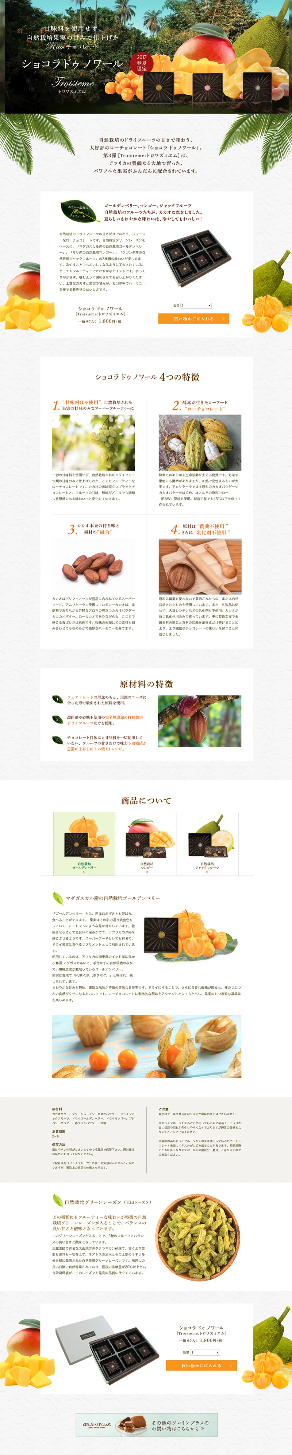 Raw Chocolate Chocolat De Noir LP design (Sweets and Snacks / Brown tones / Organic) PC version