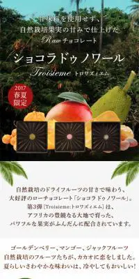 ローチョコレート ショコラ ドゥ ノワールのLPデザイン（スイーツ・スナック菓子／ブラウン系／オーガニック系）スマホ版