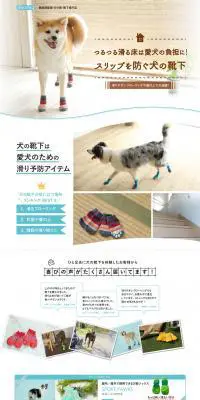 犬の靴下のLPデザイン（ペット・花・DIY工具／ホワイト系／キレイ系）PC版