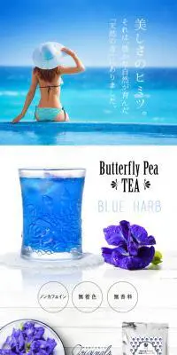 Butterfly PeaのLPデザイン（飲料・お酒／ブルー系／清潔系）PC版