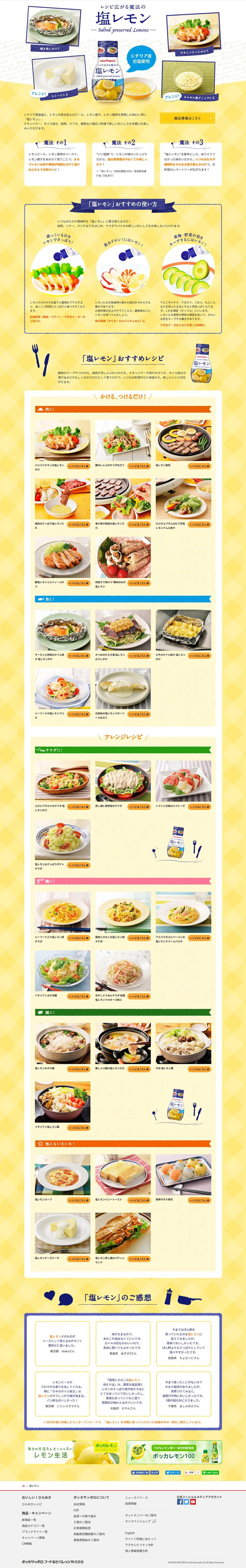 salted lemon LP design (food / yellow / Health and Wellness) PC version