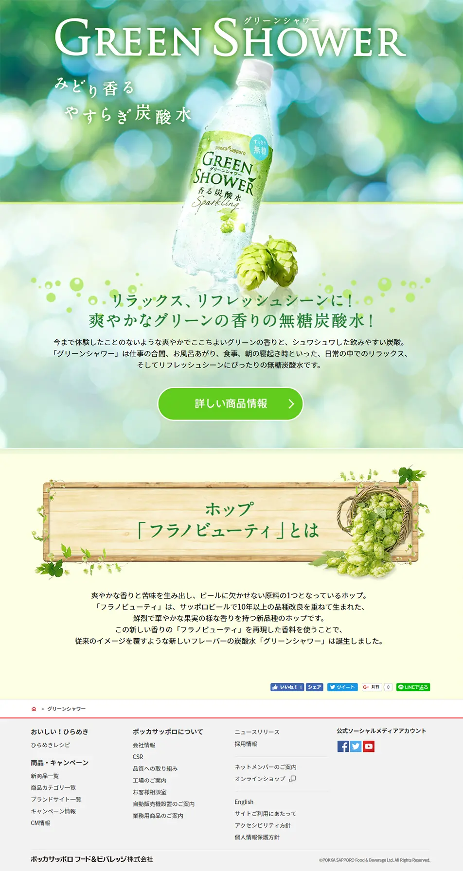 Green Shower LP design (Beverages and Alcohol / Green tones / Refined style) PC version
