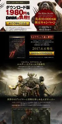 エルダー・スクロールズ・オンライン　先着10,000名様限定キャンペーンのLPデザイン（本・音楽・ゲーム／ブラック系／かっこいい系）PC版