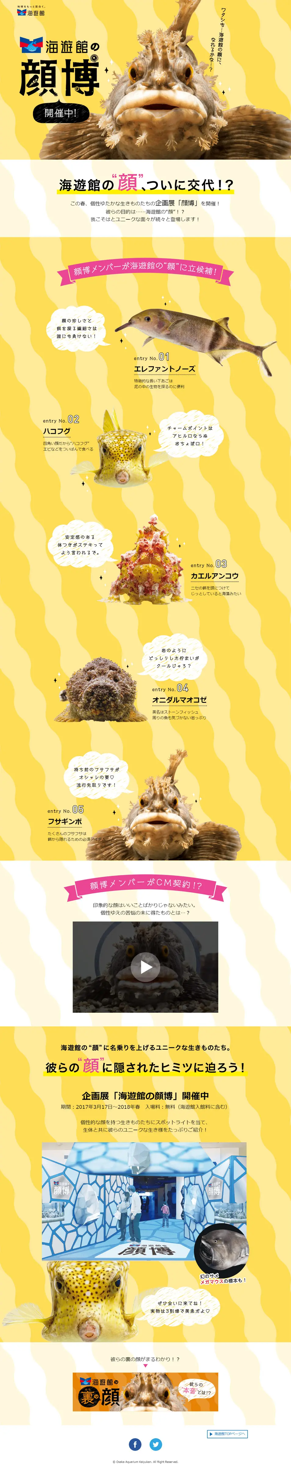 Kaiyukan's Face Exhibition LP design (Travel & Outdoor / yellow / Cute style) PC version