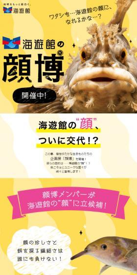 Can I become the face of Kaiyukan, too...?