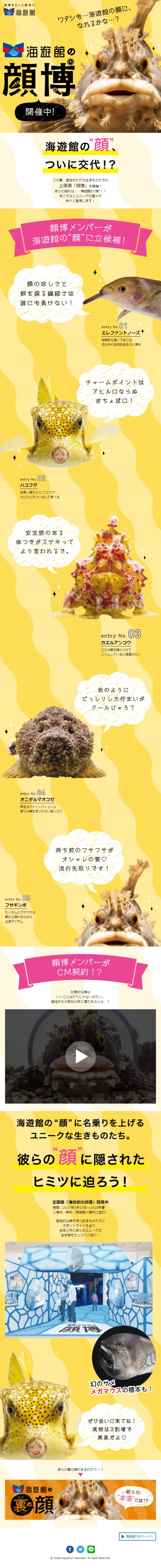 Kaiyukan's Face Exhibition LP design (Travel & Outdoor / yellow / Cute style) Mobile version
