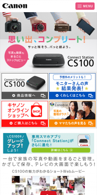 Connect Staition CS100