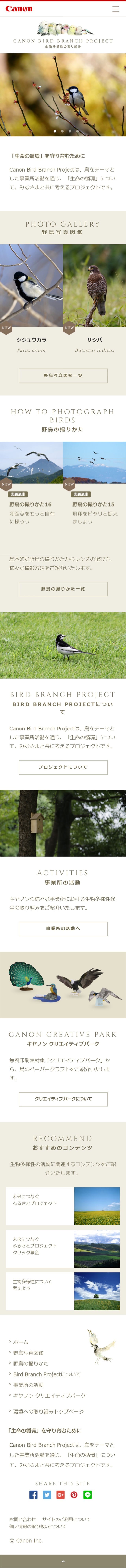 CANON BIRD BRANCH PROJECT_sp_1