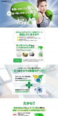 キッチンパンチのLPデザイン（洗剤・洗濯・掃除用品／グリーン系／かっこいい系）PC版
