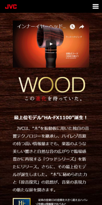 In-ear headphones