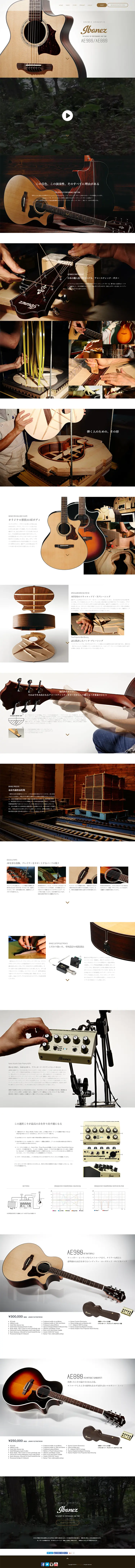 ibanez AE LP design (pc / Brown tones / Cool style) PC version