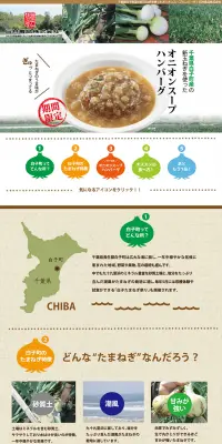 オニオンハンバーグのLPデザイン（食品／ブラウン系／信頼・安心系）PC版