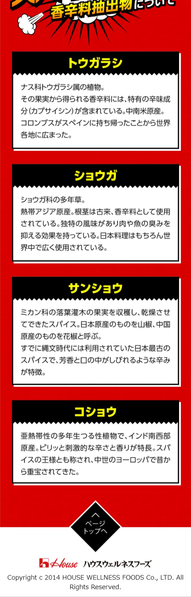 メガシャキのLPデザイン（飲料・お酒／カラフル系／にぎやか系）スマホ版