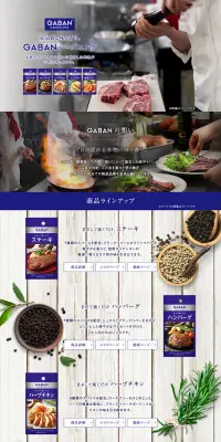 GABAN　シーズニングのLPデザイン（食品／ブルー系／アート・芸術系）PC版