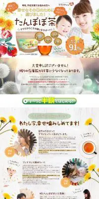 たんぽぽ茶のLPデザイン（健康食品・健康ドリンク・サプリメント／オレンジ系／かわいい系）PC版