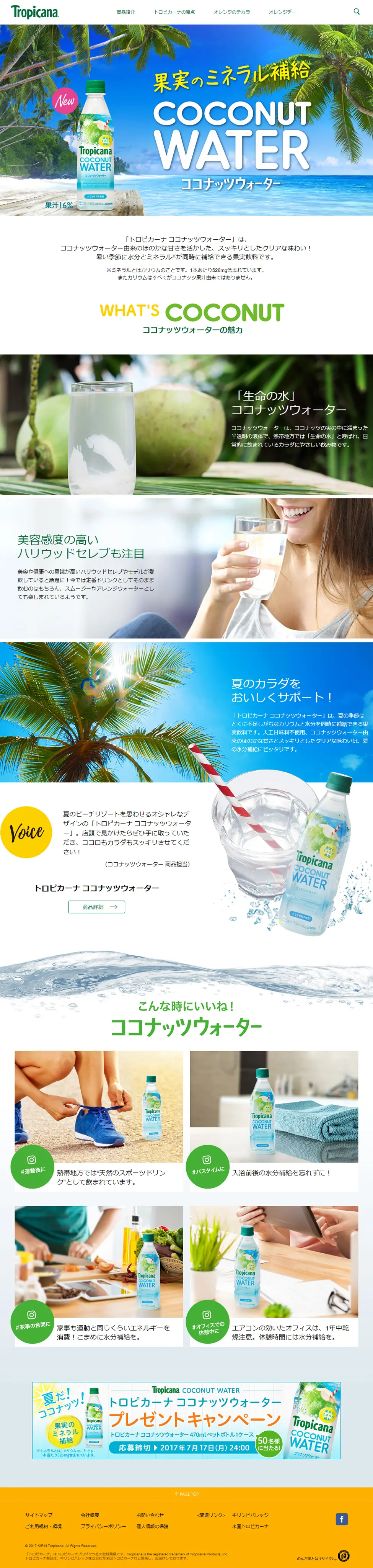Coconut water LP design (Beverages and Alcohol / Green tones / Refreshing type) PC version