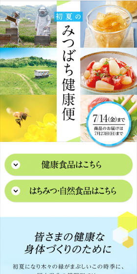 Honeybee Health Service LP design (Health and Beauty Foods and Supplements / Green tones / Clean-cut) Mobile version