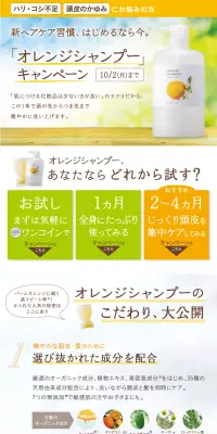 オレンジシャンプーキャンペーンのLPデザイン（インターネットサービス／オレンジ系／信頼・安心系）PC版