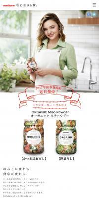ORGANIC Miso Powder
