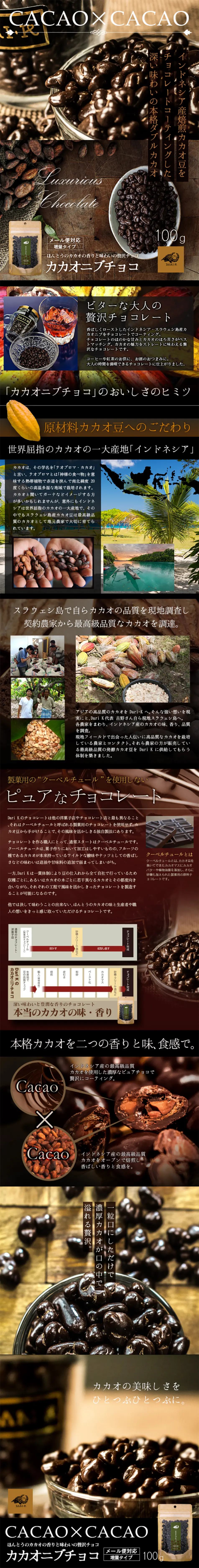 Cacao Nibs Chocolate LP design (Sweets and Snacks / Brown tones / Simple) PC version